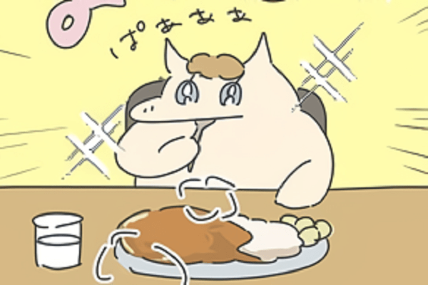 カレー大好きなら絶対試すべき!普通に買うより節約です