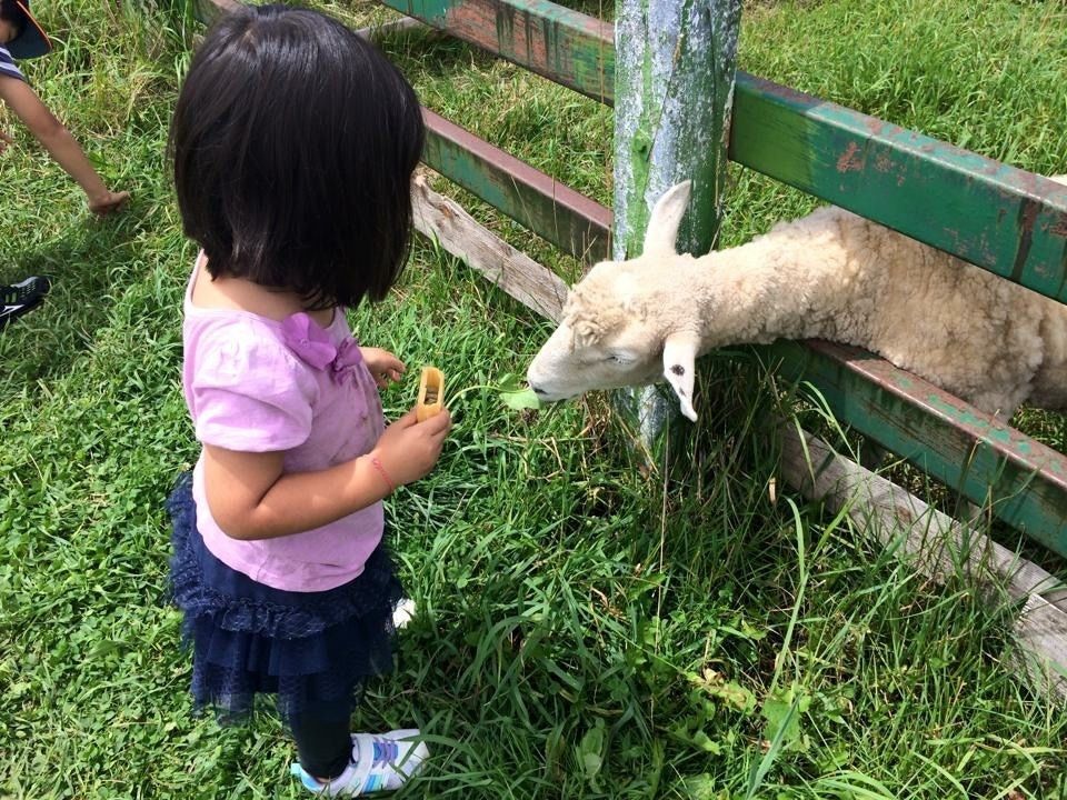 子どものイライラに引きずられそうな時、有効な対処法