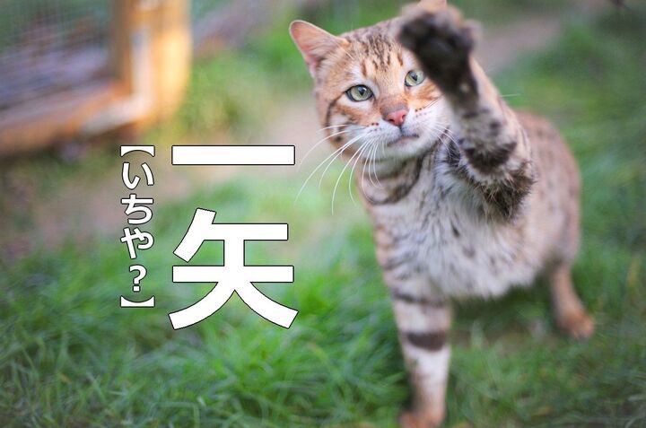 「一矢」を「イチヤ」と読むと笑われます!【読めないと恥ずかしい漢字クイズ】