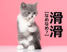 【滑滑】を「ナメナメ」と読むと笑われます！【読めないと恥ずかしい漢字クイズ】