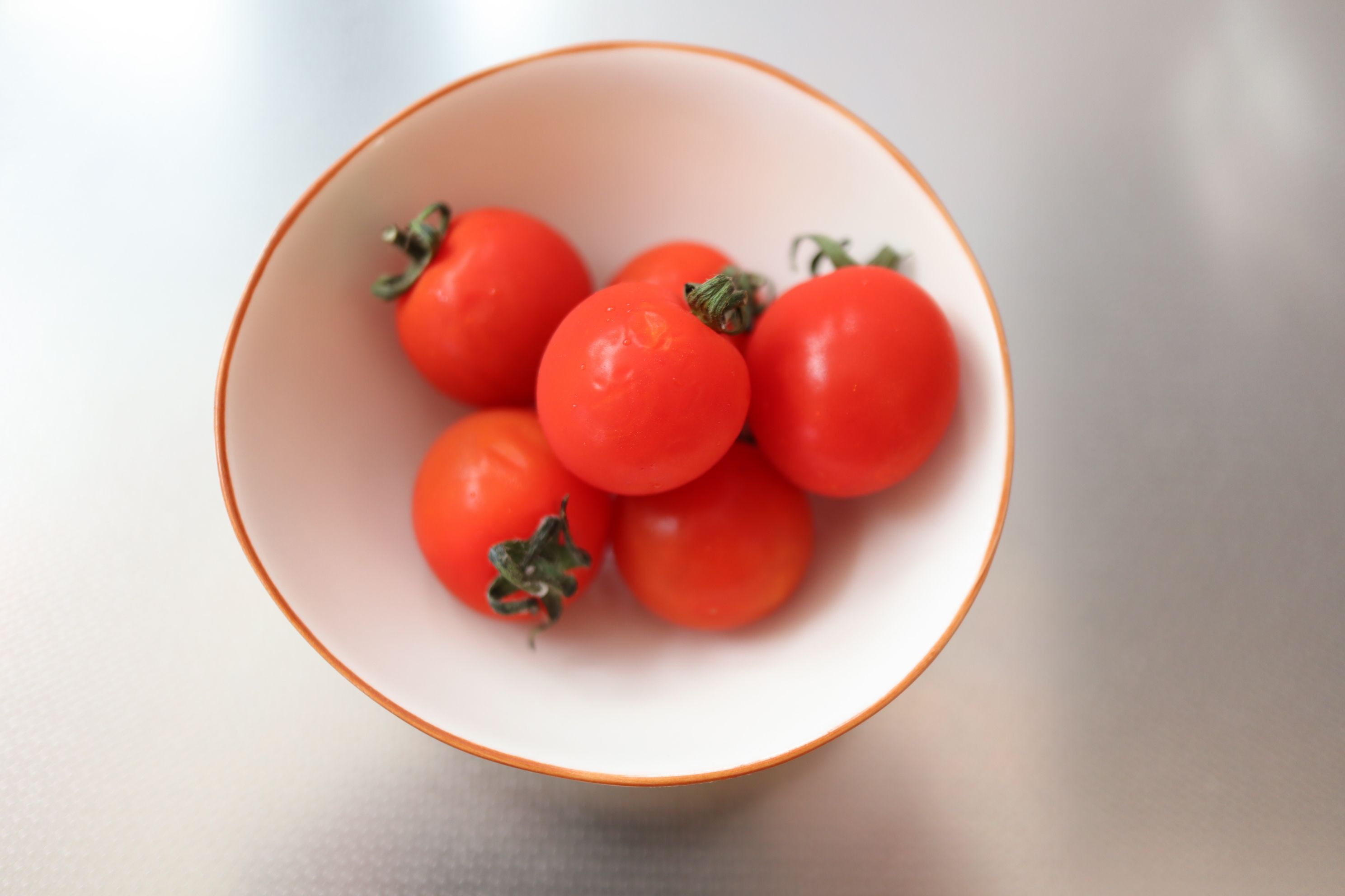 最大63%OFFクーポン tomato様 専用② biomagnasa.com