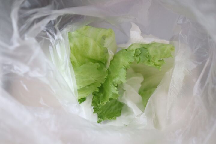 サラダスピナー級!ポリ袋で「野菜の水切り」やってみた!洗い物いらずでBBQでもオッケー♪