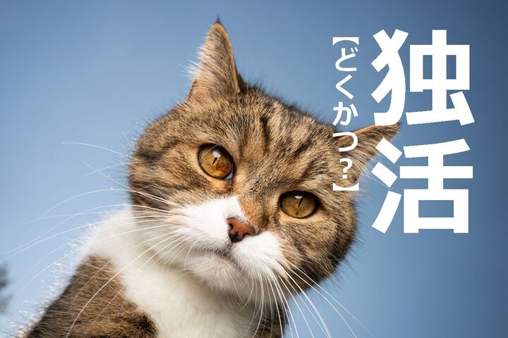 【独活】を「どくかつ」と読んだら笑われます!【読めないと恥ずかしい漢字クイズ】