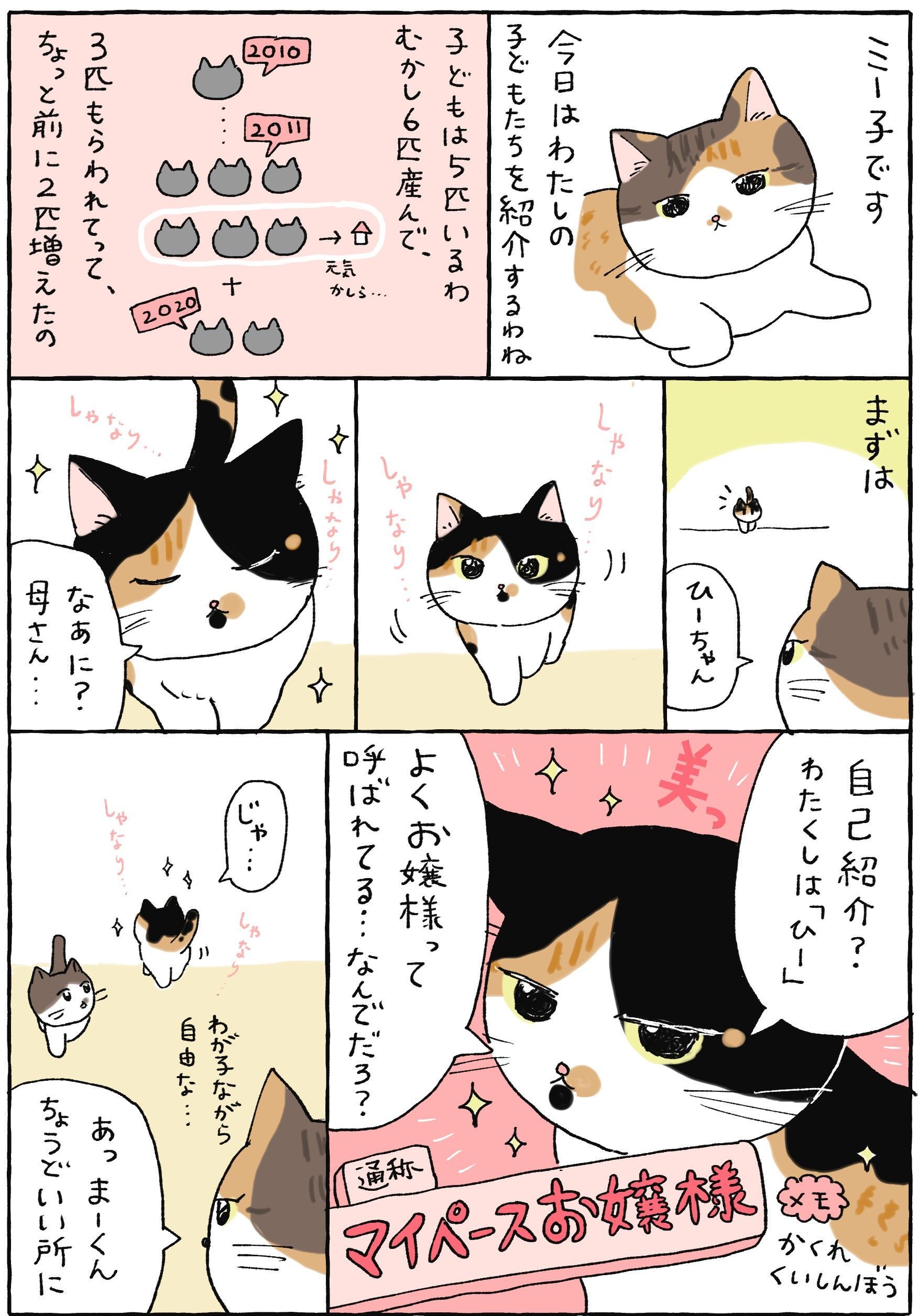 子どもたちのこと【てらねこミー子の日常】｜暮らしニスタ