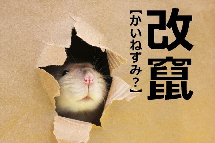 【改竄】を「かいねずみ?」と読むと笑われますよ!【読めないと恥ずかしい漢字クイズ】