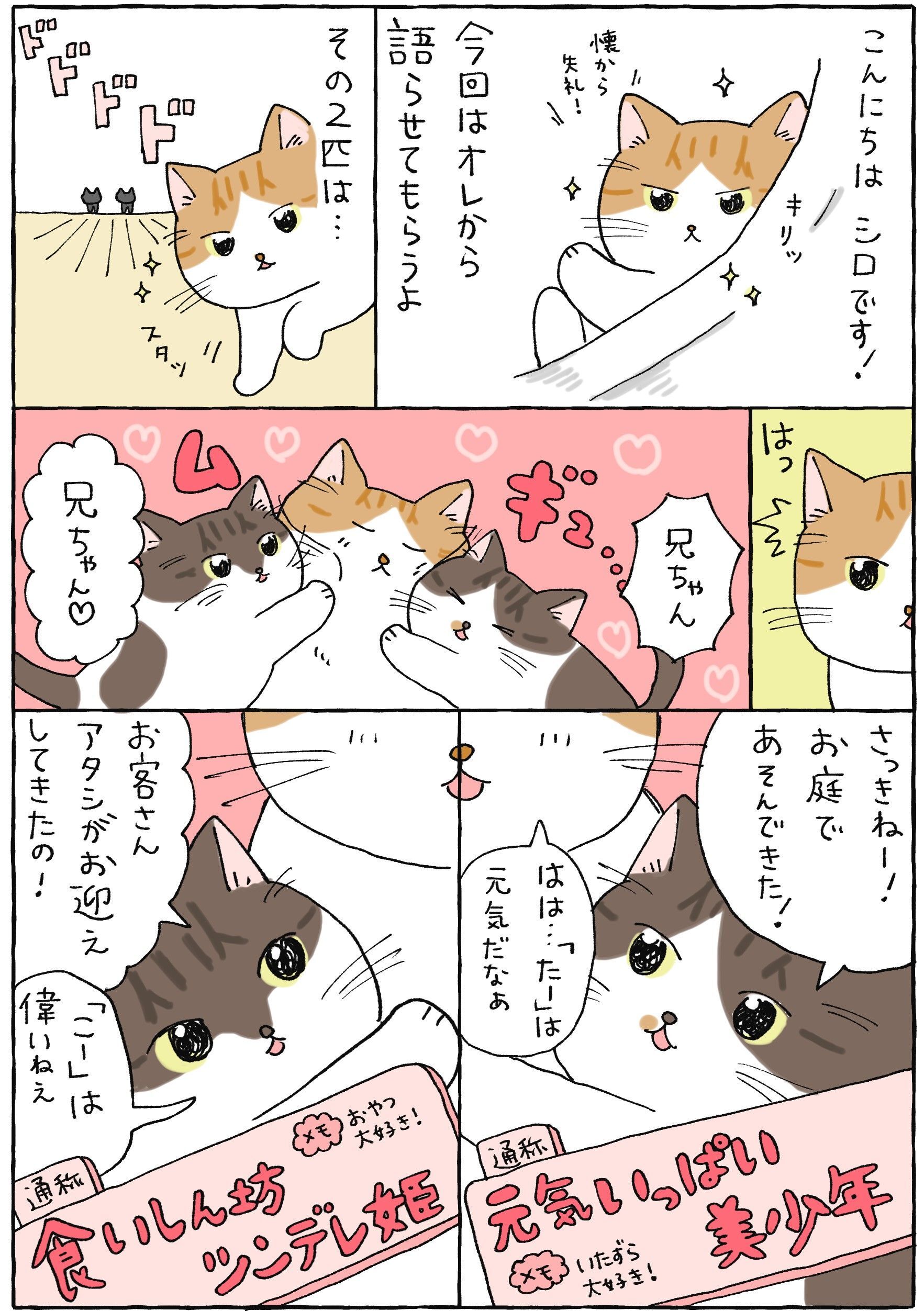 しっぽにしときなさい【てらねこミー子の日常】｜暮らしニスタ