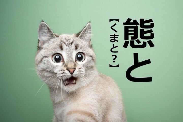 【態と】を「くまと」と読むと2回笑われます!【読めないと恥ずかしい漢字クイズ】