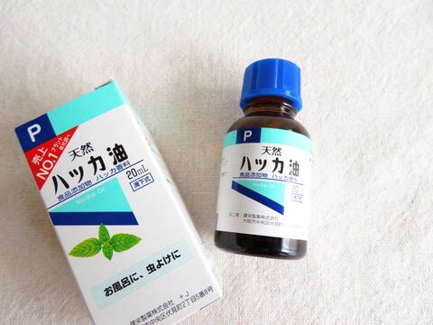 やっぱりハッカ油はコスパ最強の涼アイテム 残暑を快適に乗り切るカンタン活用法 暮らしニスタ やっぱりハッカ油はコスパ最強の涼アイテム 残暑を快適に乗り切るカンタン活用法 暮らしニスタ