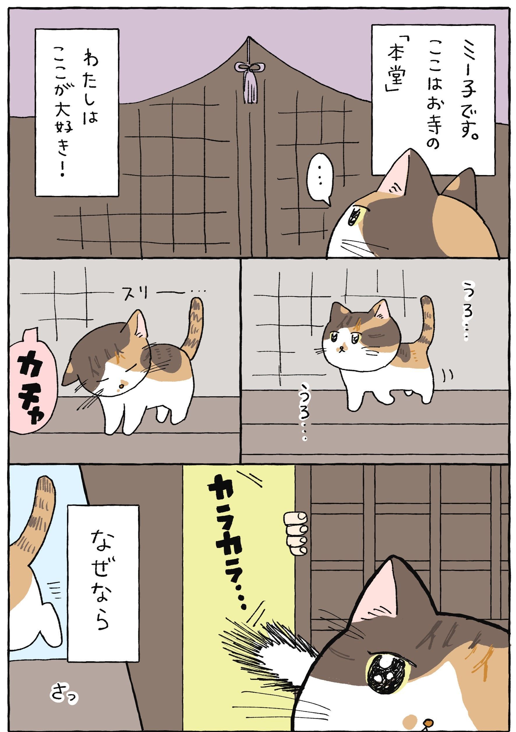 うろうろ のワケ てらねこミー子の日常 暮らしニスタ