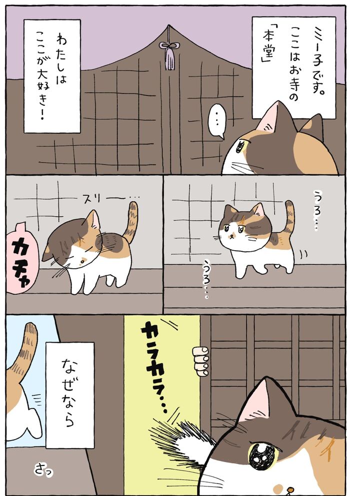 うろうろ のワケ てらねこミー子の日常 暮らしニスタ うろうろ のワケ てらねこミー子の日常 暮らしニスタ
