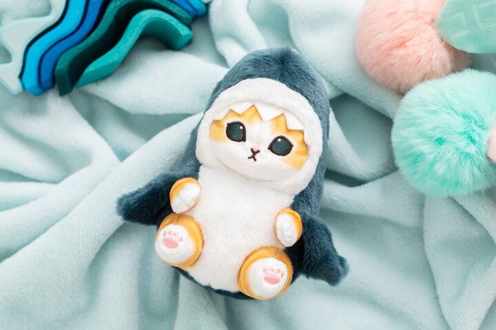 この子のこと、知ってる?【サメにゃん】秋のおすすめ5アイテムをチェック♡