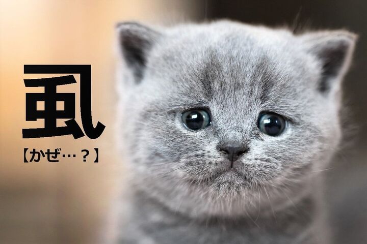 【虱】を雰囲気で「かぜ」と読んだらダメ(笑)!正しい読み方は?【読めないと恥ずかしい漢字クイズ】