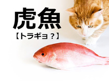 【虎魚】の読み方わかる？【読めないと恥ずかしい漢字クイズ】