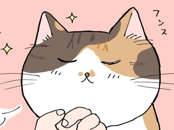 フンス。おもてなしスピリッツ【てらねこミー子の日常】
