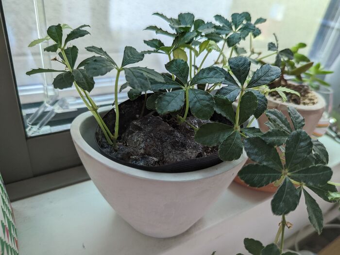 溜まった保冷剤 捨てるの待った 家事を助けてくれる便利グッズとして大活躍 暮らしニスタ Goo ニュース 溜まった保冷剤 捨てるの待った 家事を助けてくれる便利グッズとして大活躍 暮らしニスタ Goo ニュース