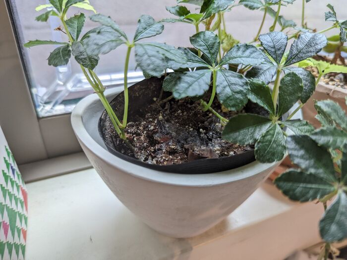 溜まった保冷剤 捨てるの待った 家事を助けてくれる便利グッズとして大活躍 暮らしニスタ Goo ニュース 溜まった保冷剤 捨てるの待った 家事を助けてくれる便利グッズとして大活躍 暮らしニスタ Goo ニュース