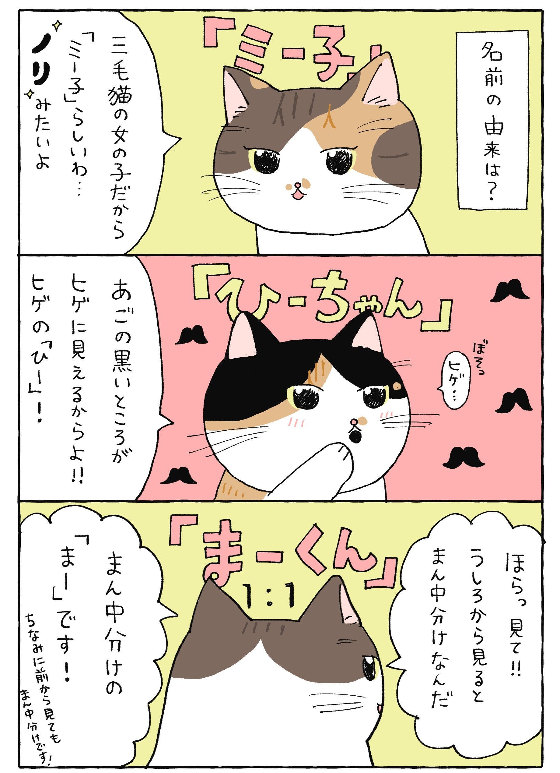 みーこちゃん様♡ご確認ページ （みんなのアイコンでエンゼルPLUSを 