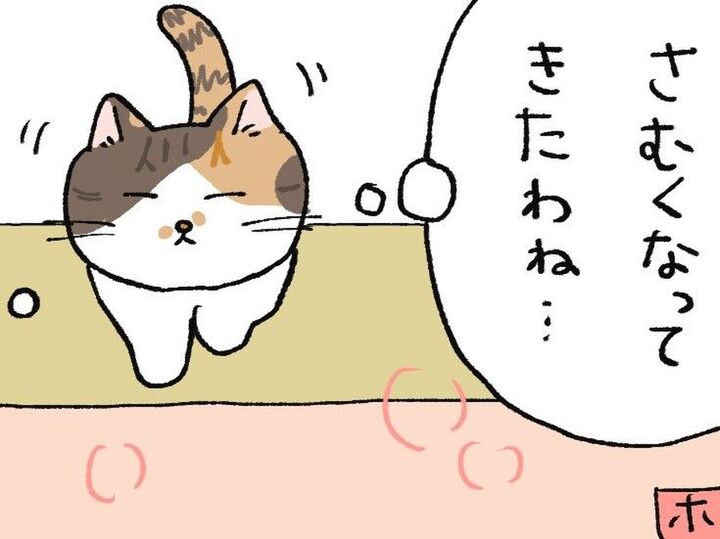ねこが7匹あつまる場所【てらねこミー子の日常】