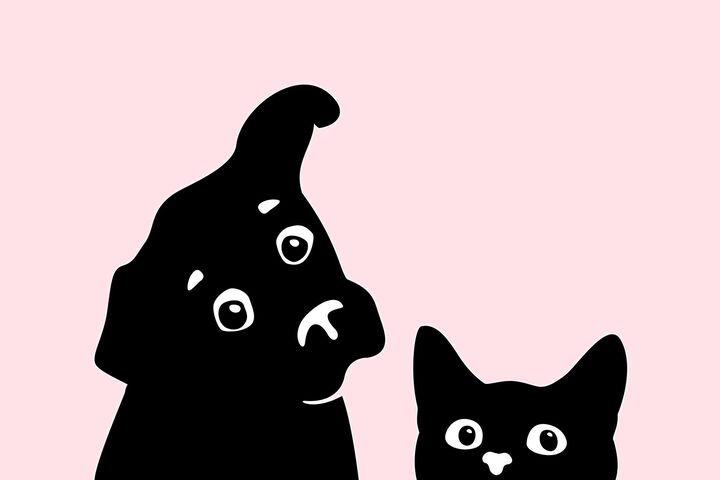 【犬と猫の視力】どれぐらい見えてる?人間との見え方の違いは?