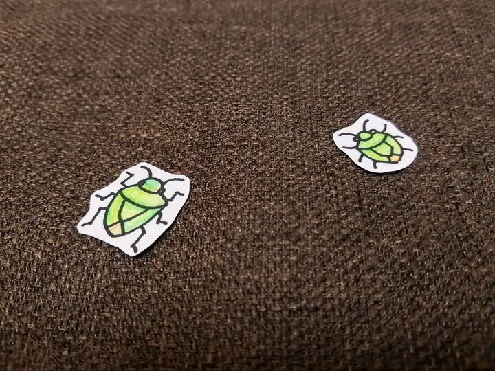 ギエーーーー!!カメムシ出たーー!!家にあるモノでラクチンに退治できますよ