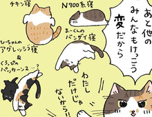 寝相が独特ナンバーワンは？【てらねこミー子の日常】