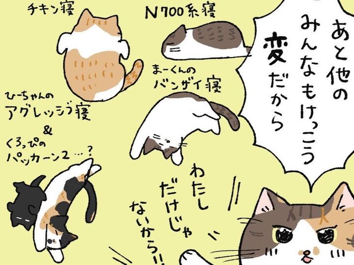 寝相が独特ナンバーワンは?【てらねこミー子の日常】