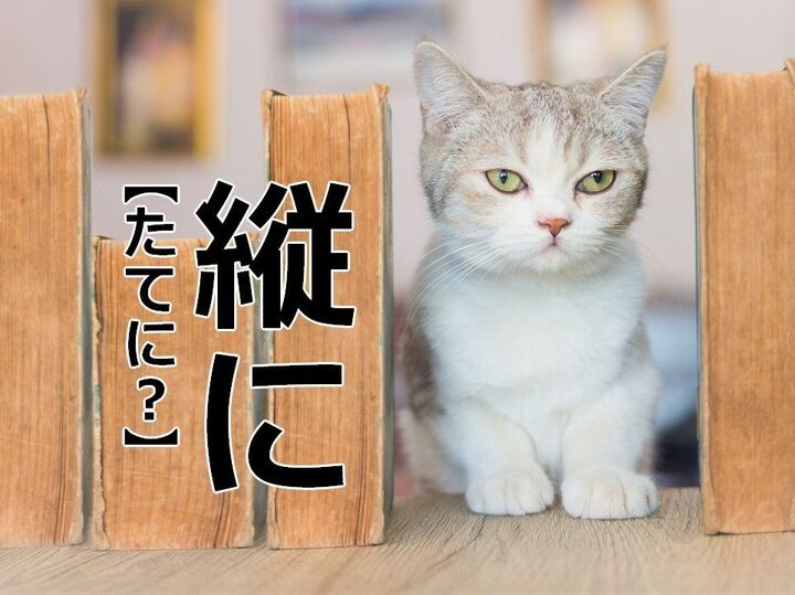 【縦に】を「たてに」と読むと笑われます！【読めないと恥ずかしい漢字クイズ】