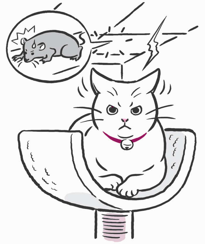 ウチの子が あらぬ方向を向いて固まってる 飼い主さんに覚えておいてほしいこと 暮らしニスタ ウチの子が あらぬ方向を向いて固まってる 飼い主さんに覚えておいてほしいこと 暮らしニスタ