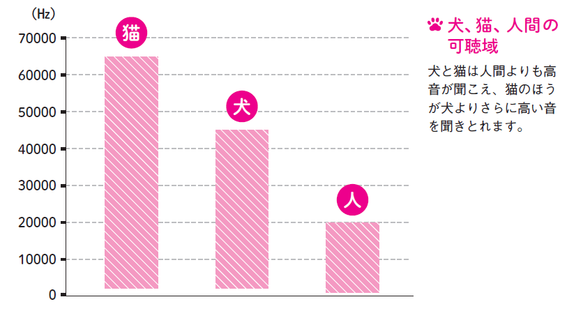 ウチの子が あらぬ方向を向いて固まってる 飼い主さんに覚えておいてほしいこと 暮らしニスタ