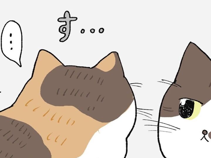 すっ…。今の、まぼろし…?【てらねこミー子の日常】