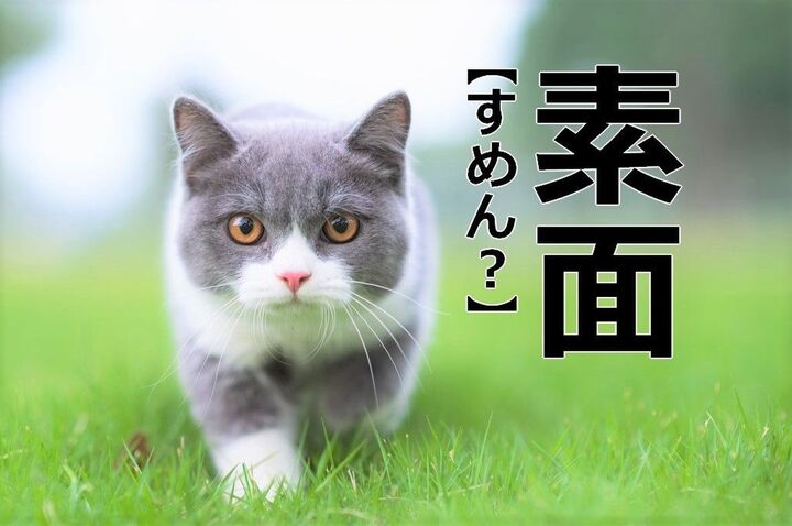 【素面】を「すめん」と読むと笑われます！【読めないと恥ずかしい漢字クイズ】