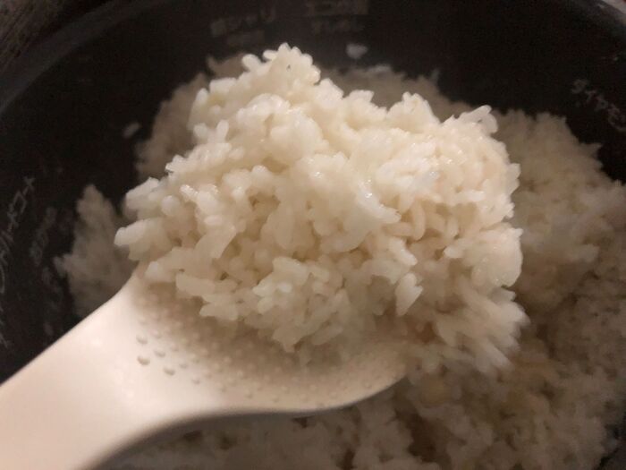 ちなみに普通に炊いたお米です