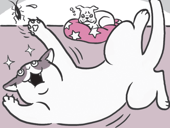 【犬と猫】目がよく見えているのは、本当はどっち?