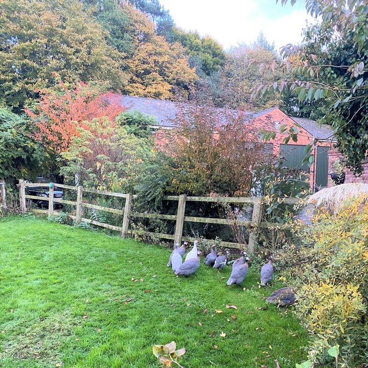 イギリスの素敵なおうちで朝食を。【スタイリストunicoの思い出レシピ】