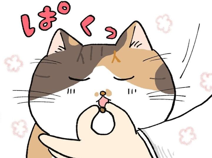 おやつの順番【てらねこミー子の日常】