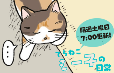 マンガ】てらねこミー子の日常｜暮らしニスタ