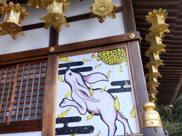 卯年の23年！開運初詣にうさぎ神社♡龍とうさぎの不思議な絵「菊」の花言葉は？