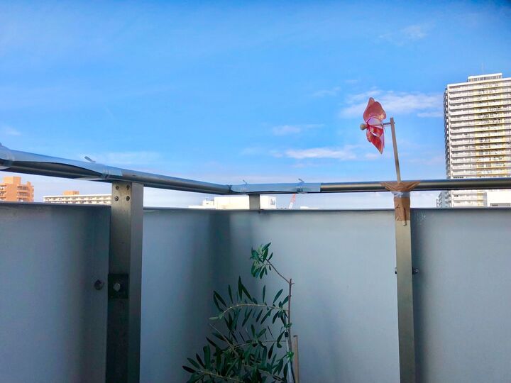 カラス対策!いろいろ試して…効果てきめん!だった方法をお教えします♪