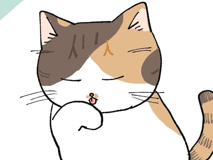 今さらなのだけど【てらねこミー子の日常】