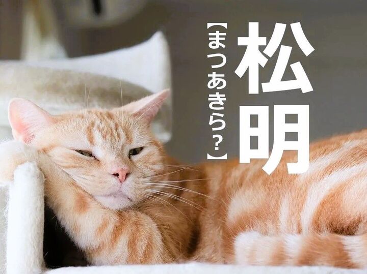 【松明】を「まつあきら」と読むと笑われます!【読めないと恥ずかしい漢字クイズ】