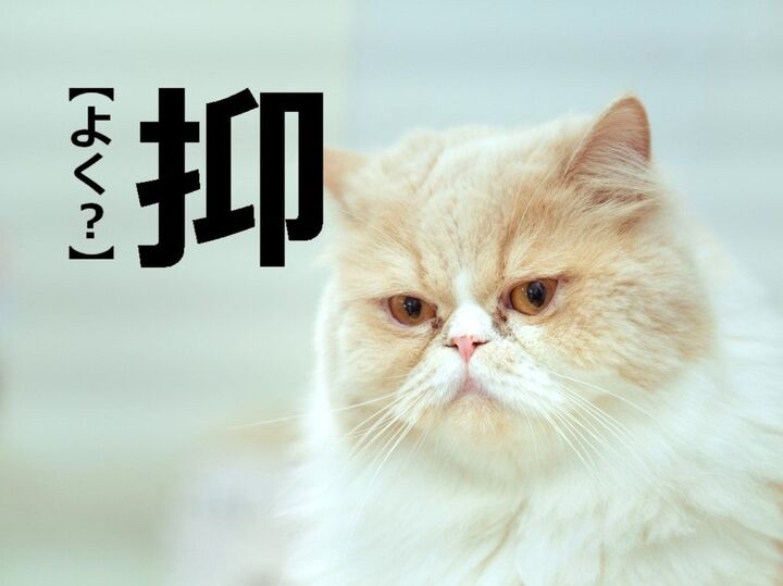 【抑】を「よく」と読むと笑われます!【読めないと恥ずかしい漢字クイズ】