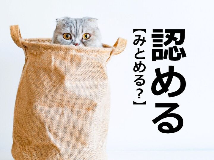 【認める】なんて読む?【育ちがいい人しか読めない漢字クイズ】
