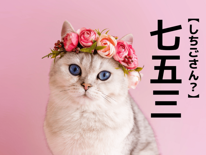 【七五三】を「しちごさん」と読むと笑われます!【読めないと恥ずかしい漢字クイズ】