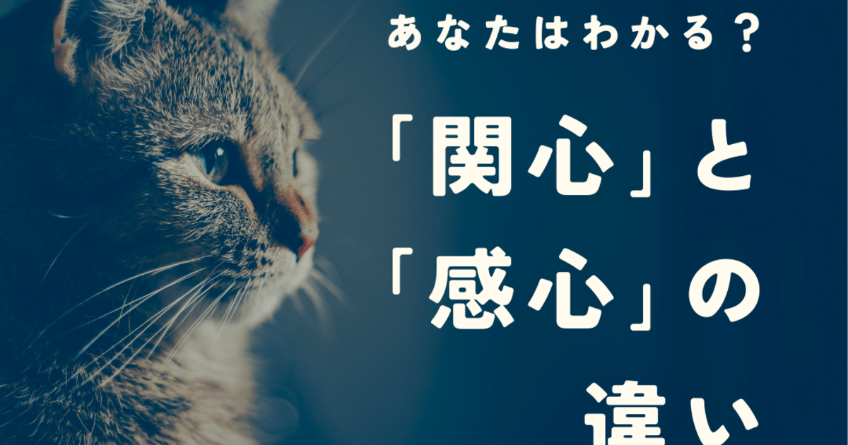 関心のある事柄例文 – 最近関心を持った事柄 面接 – YVRNNV