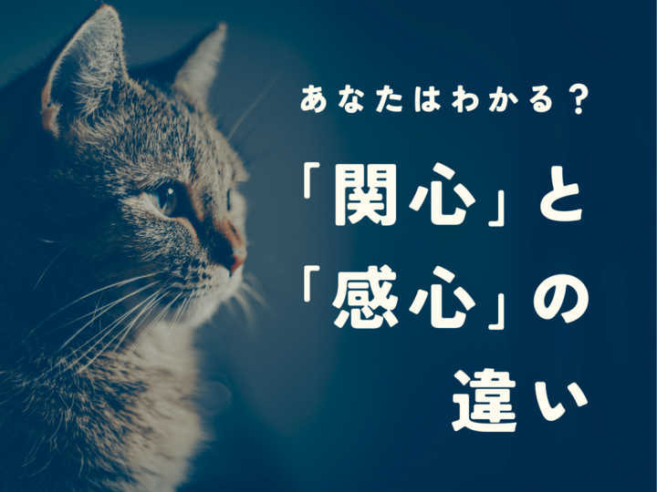 「関心」と「感心」の違いは?意味や使い方、例文まで解説!