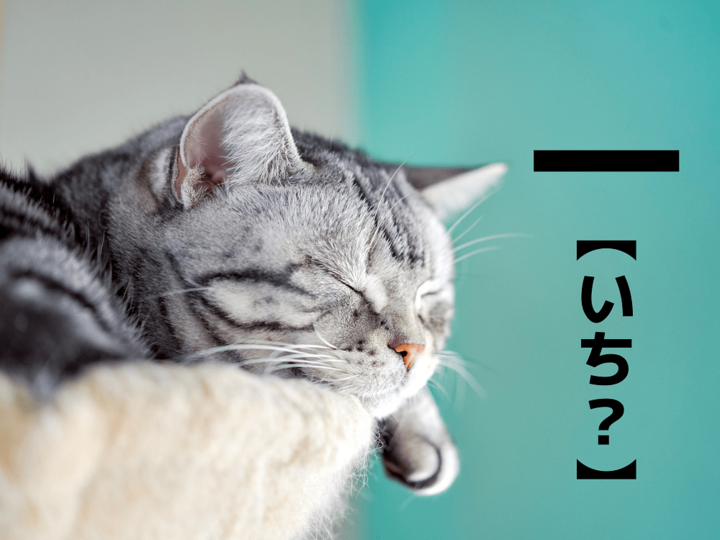 【一】という難読名字の読み方は?「イチさん」でも「ハジメさん」でもありません!