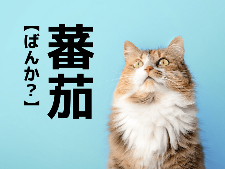 「蕃茄」なんて読む？ヒントは野菜。さあ、なんだ？【読めないと恥ずかしい漢字クイズ】