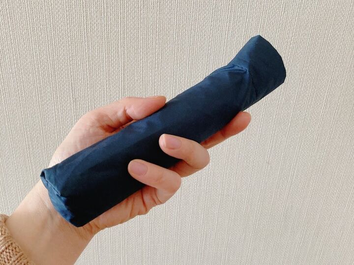 【ダイソー】550円だけど即買い♡コンパクトさについ2度見しちゃうお出かけのマストアイテム!