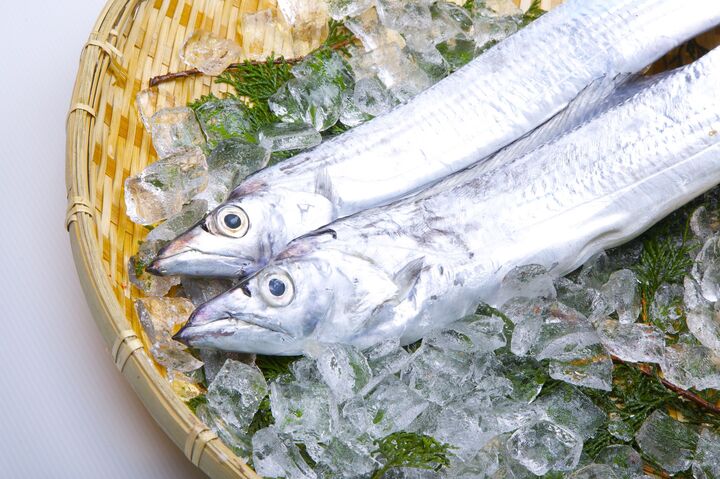 太刀魚の旬の時期・季節はいつ?名前の由来や美味しい食べ方も紹介