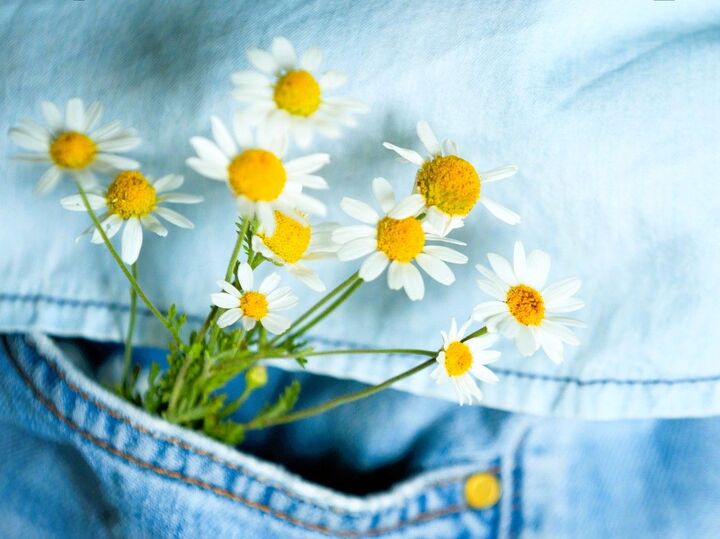 【40代・50代】春のイライラ加速期に、気分を穏やかに戻す4つの方法